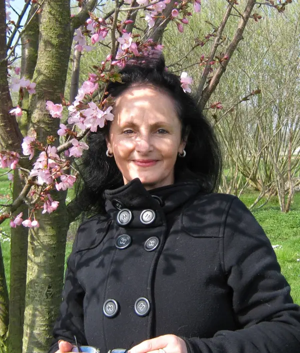 Rosa De Luces